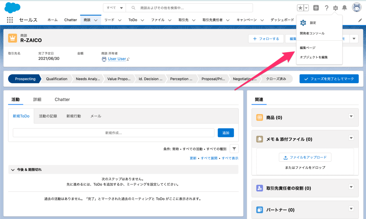 R-ZAICO___Salesforce-2.png